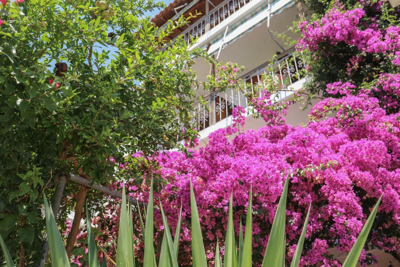 Vaya Zorba Studios Skiathos Exterior photo
